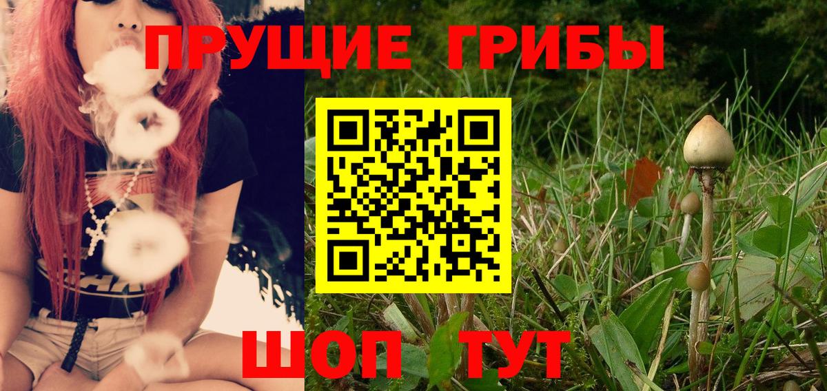 Рузаевка  Галлюциногенные грибы Psilocybe  Вход с VPN 